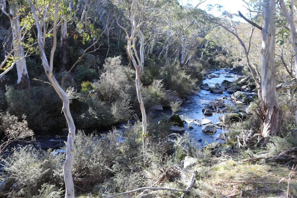 Big Yard Escapes - Two Off-Grid Tiny Houses On The Mowamba River ジンダバイン エクステリア 写真