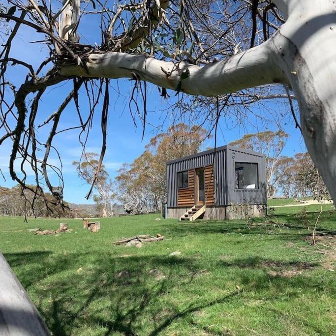 Big Yard Escapes - Two Off-Grid Tiny Houses On The Mowamba River ジンダバイン エクステリア 写真