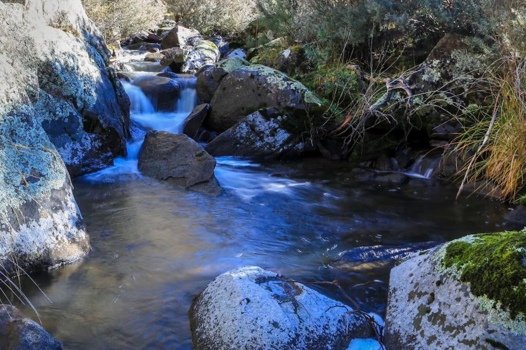 Big Yard Escapes - Two Off-Grid Tiny Houses On The Mowamba River ジンダバイン エクステリア 写真