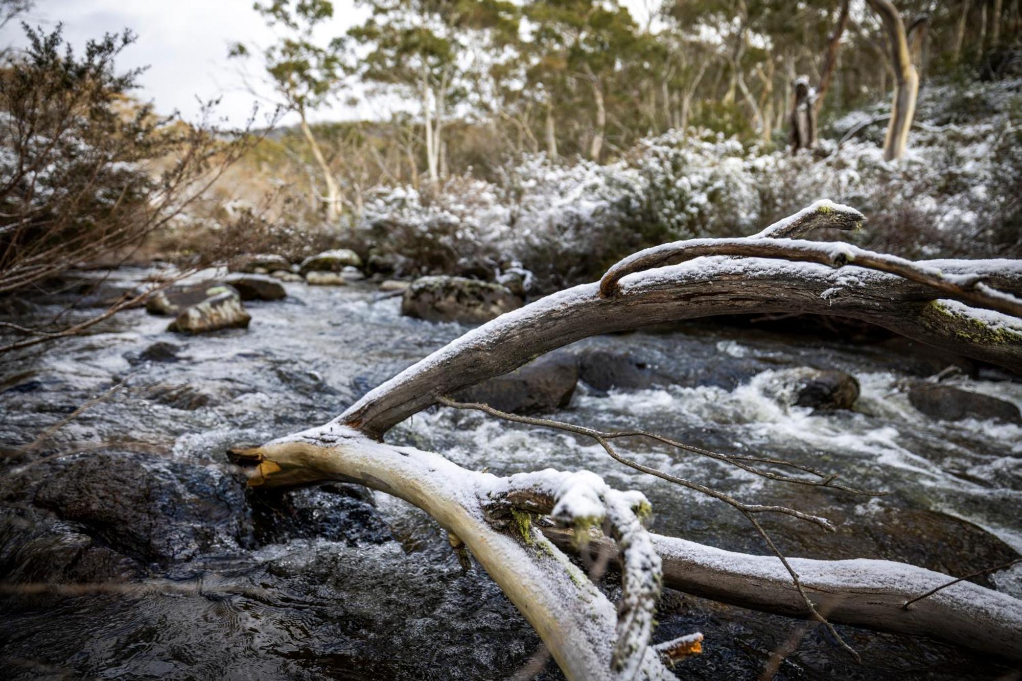 Big Yard Escapes - Two Off-Grid Tiny Houses On The Mowamba River ジンダバイン エクステリア 写真